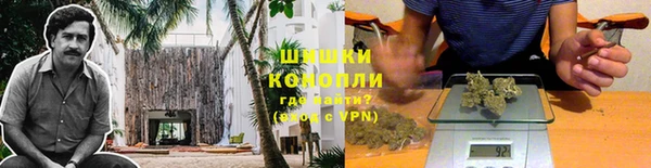 ECSTASY Ладушкин