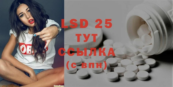 ECSTASY Ладушкин