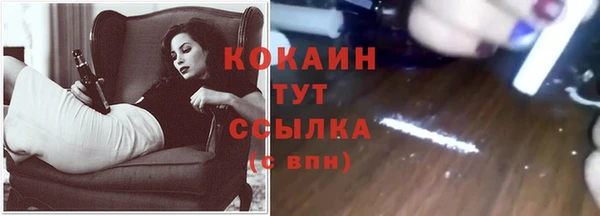 ECSTASY Ладушкин